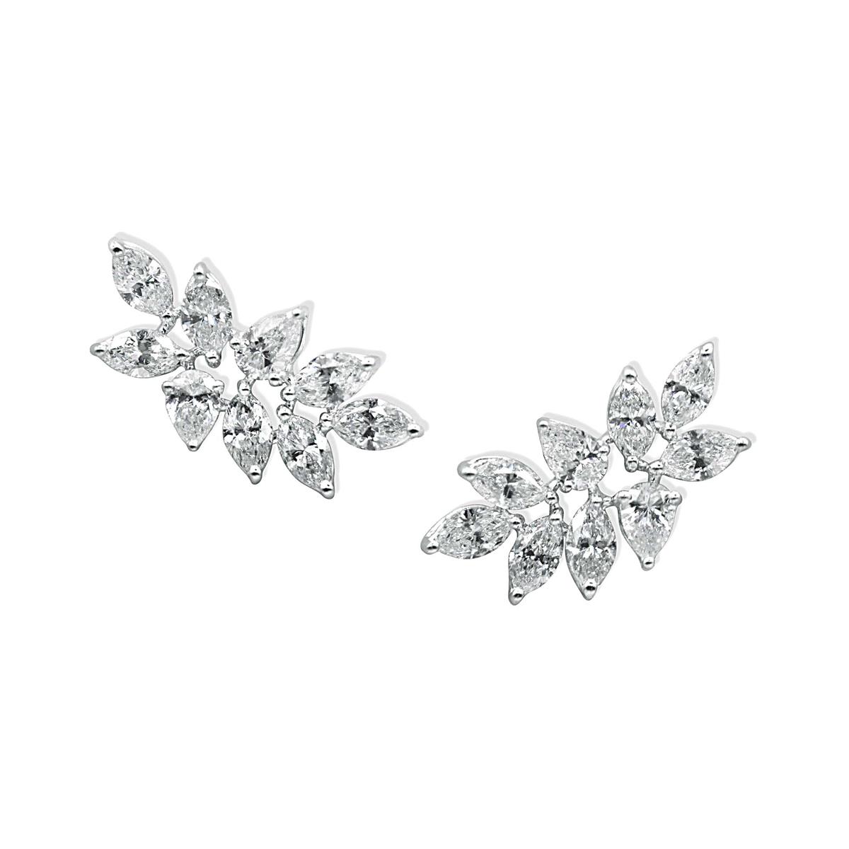 Blooming Brilliance