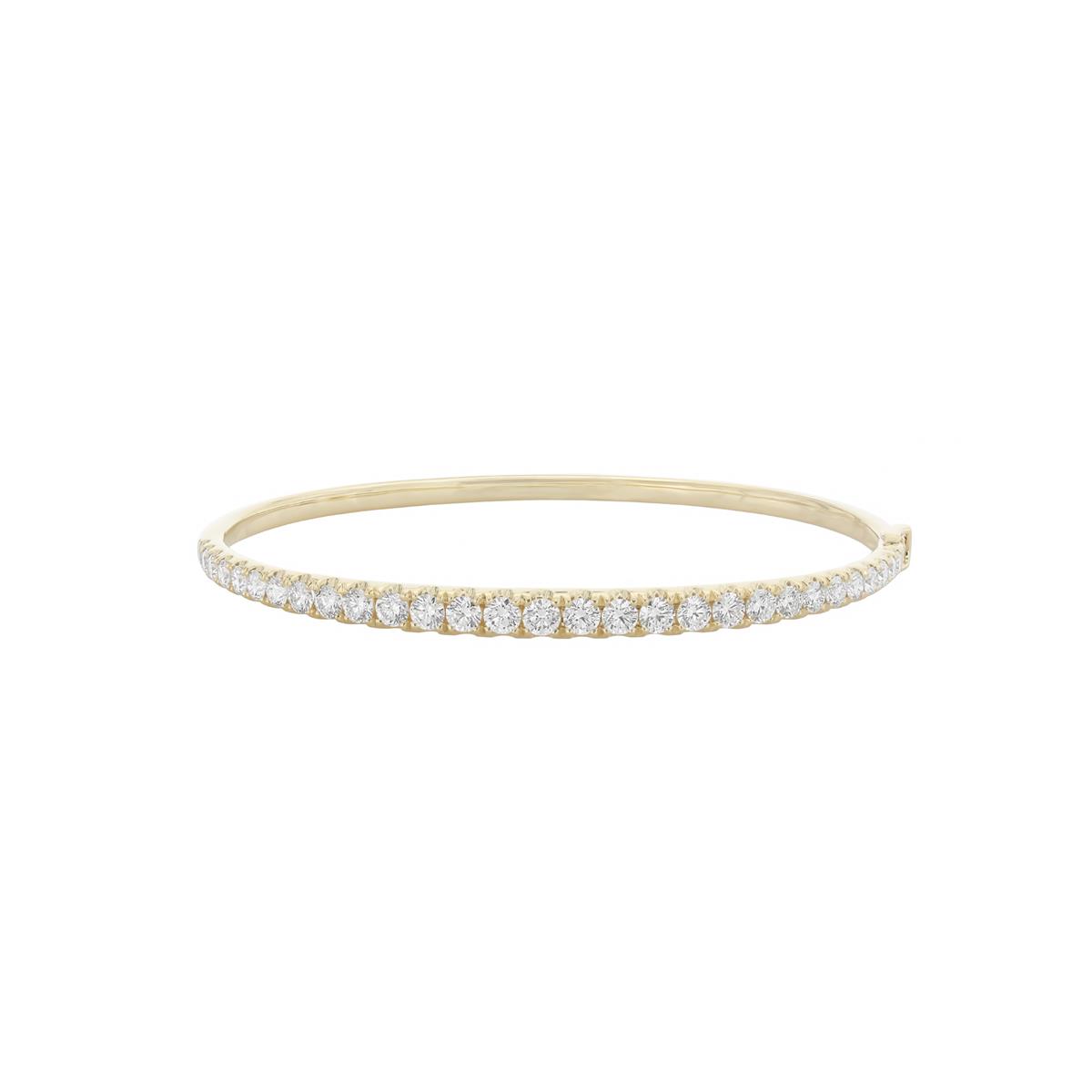 Experience Our Newest Arrivals and Timeless Classics