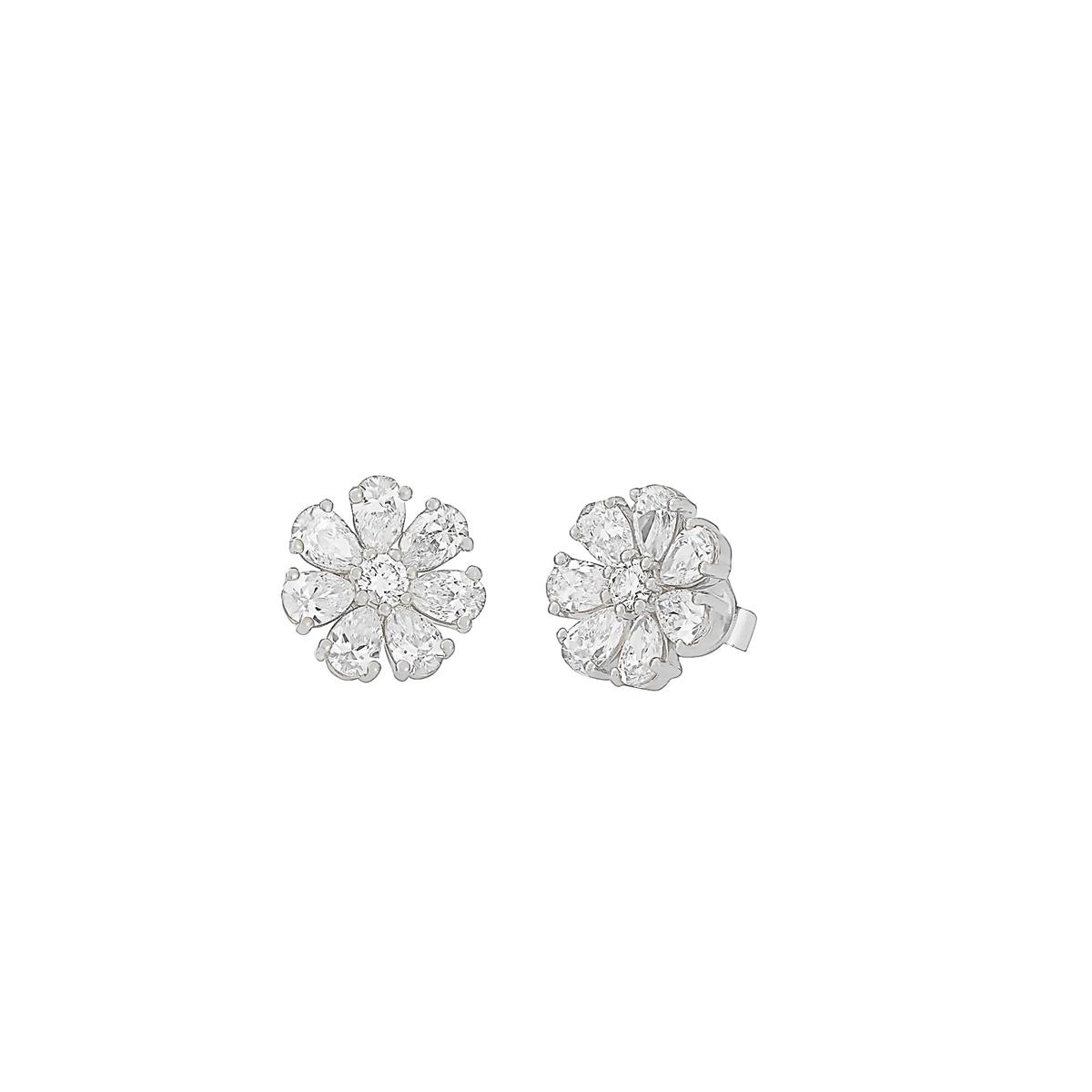 From Clusters to Curves...Your Studs, Your Story