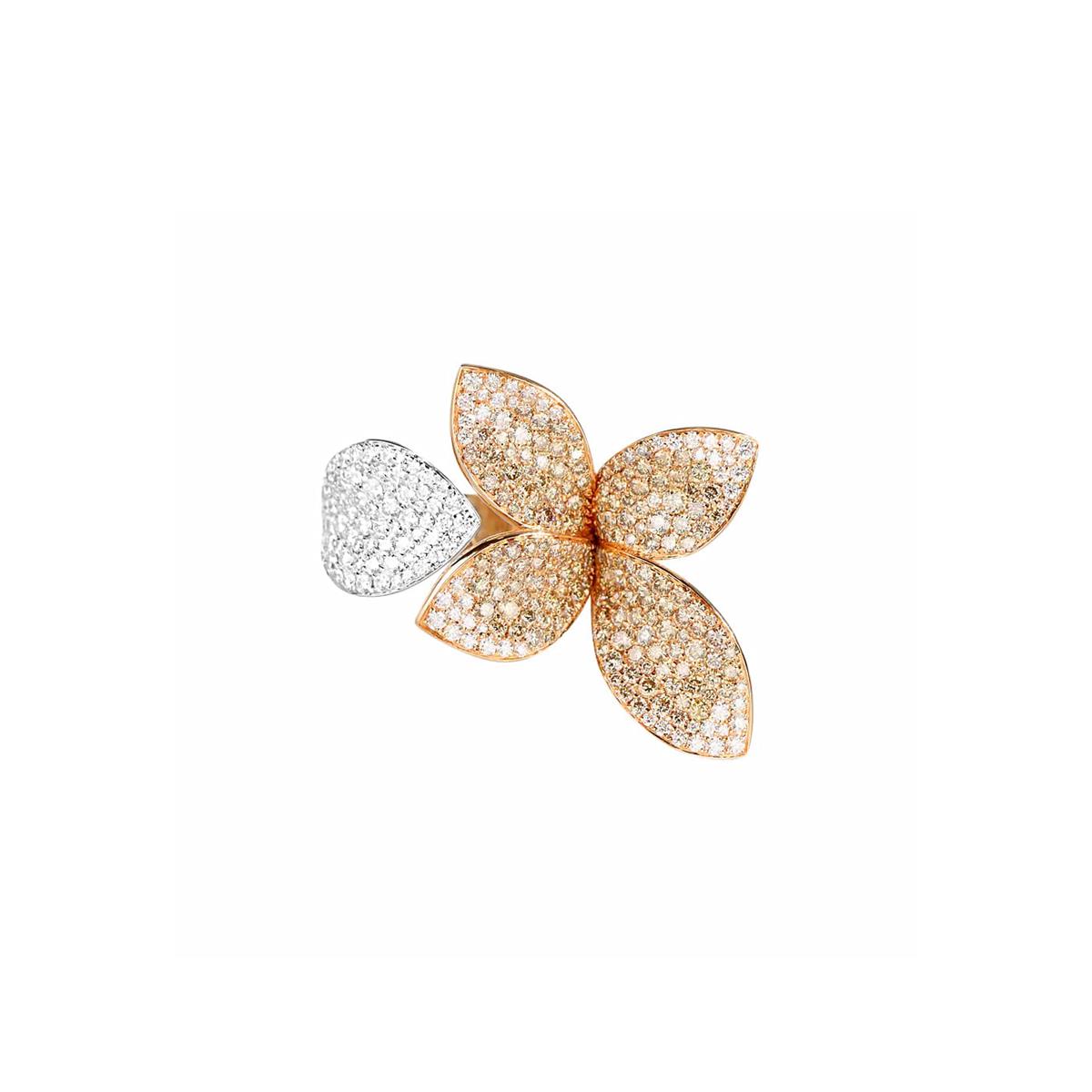 Saturday Sparkle with Pasquale Bruni