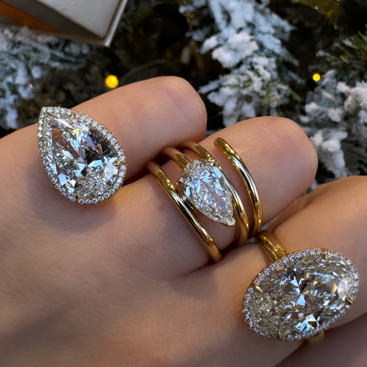 Holiday Sparkle