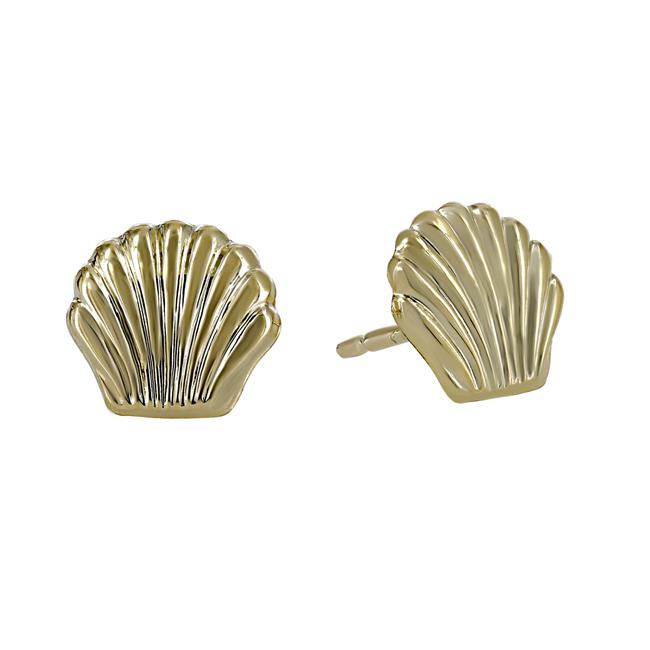 London Collection 14k Yellow Gold Flat Sea Shell Earrings