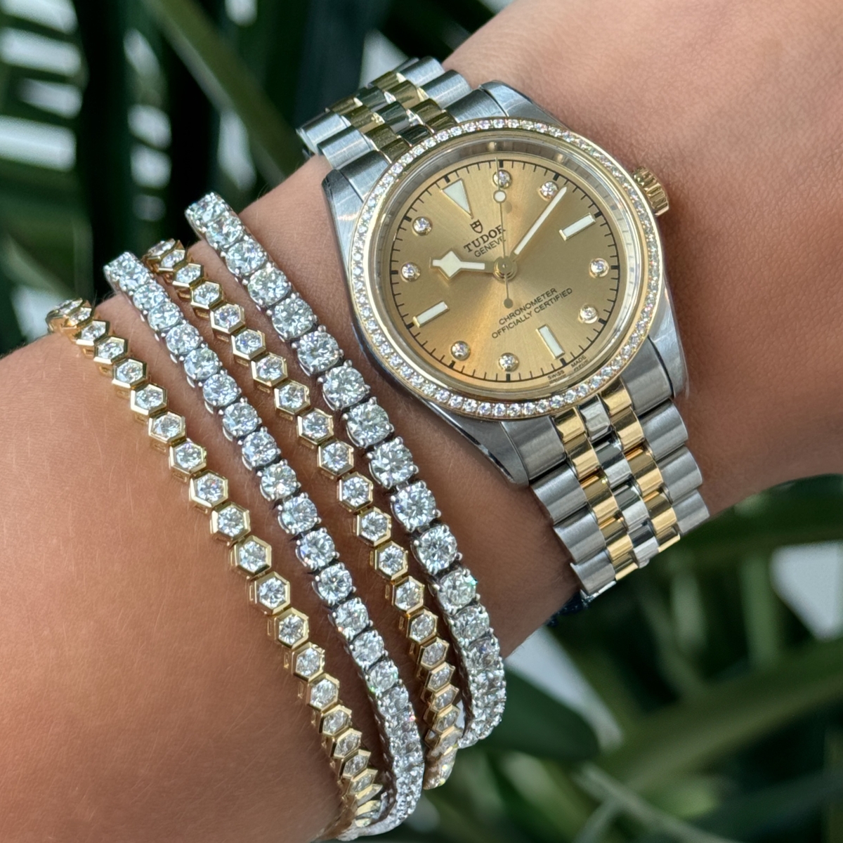 Timeless In Two-Tone