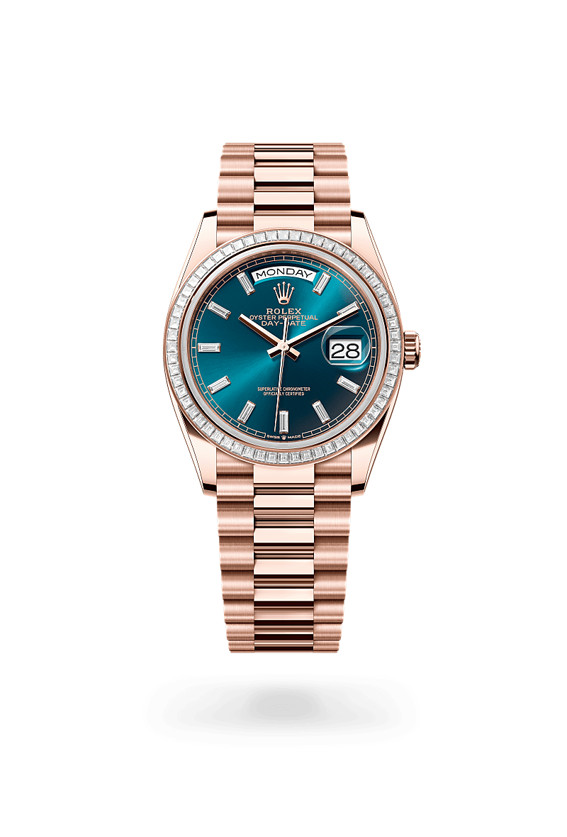 model page two year guarantee