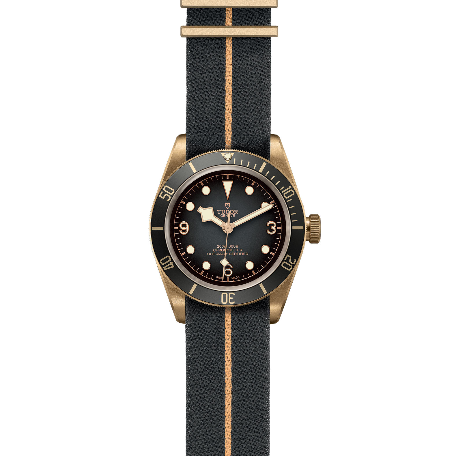 Black Bay Bronze