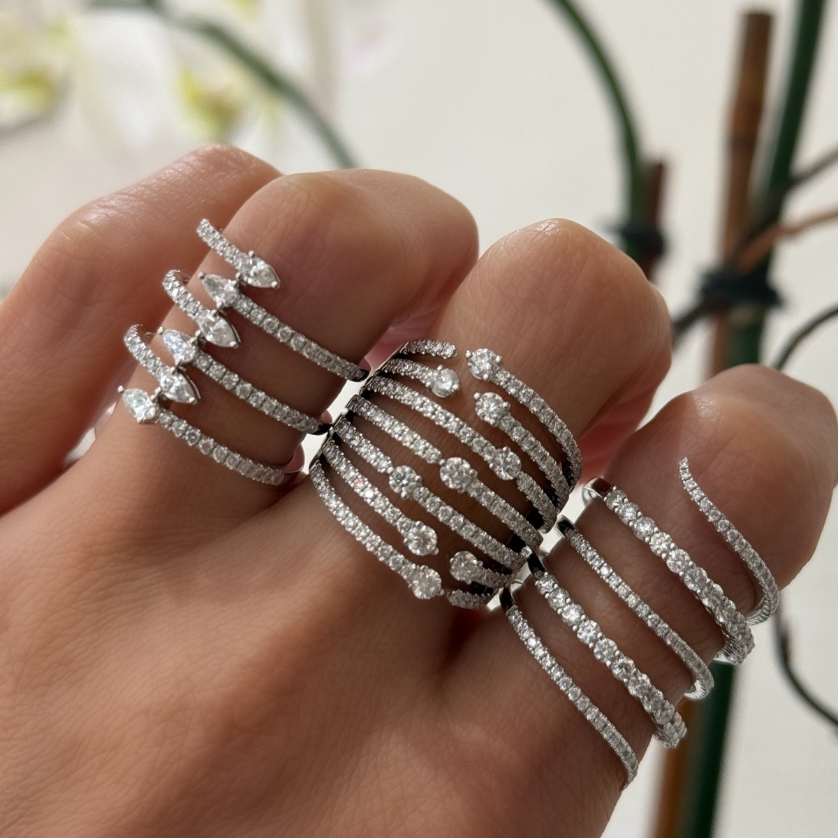 Wrapped in Brilliance