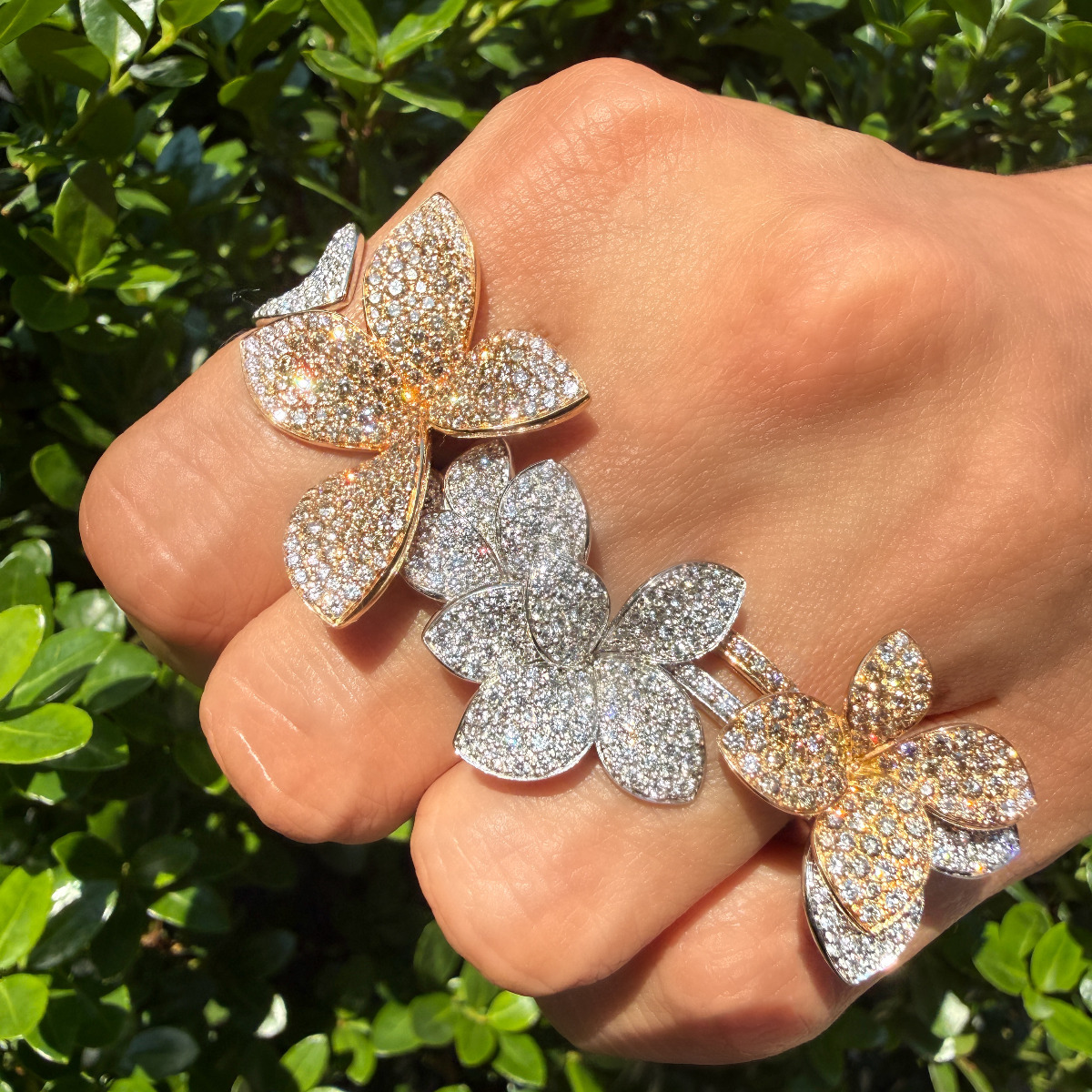 Saturday Sparkle with Pasquale Bruni