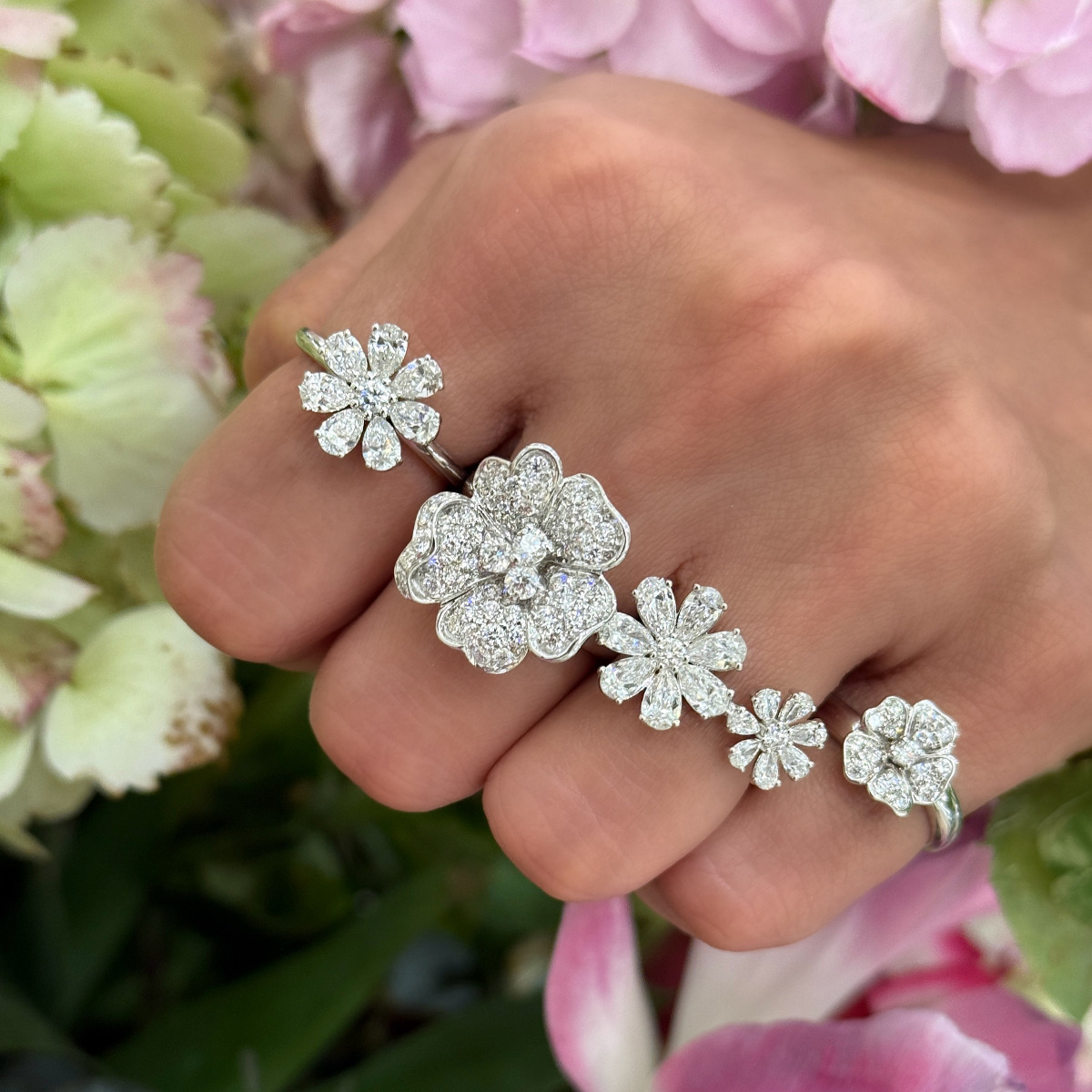 In full Bloom