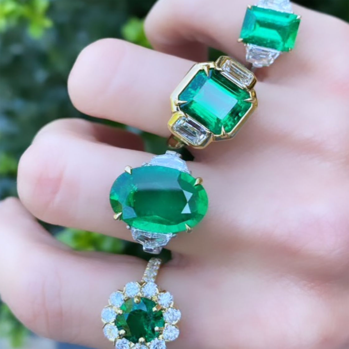 The Color Green Represents Rebirth and Renewal 