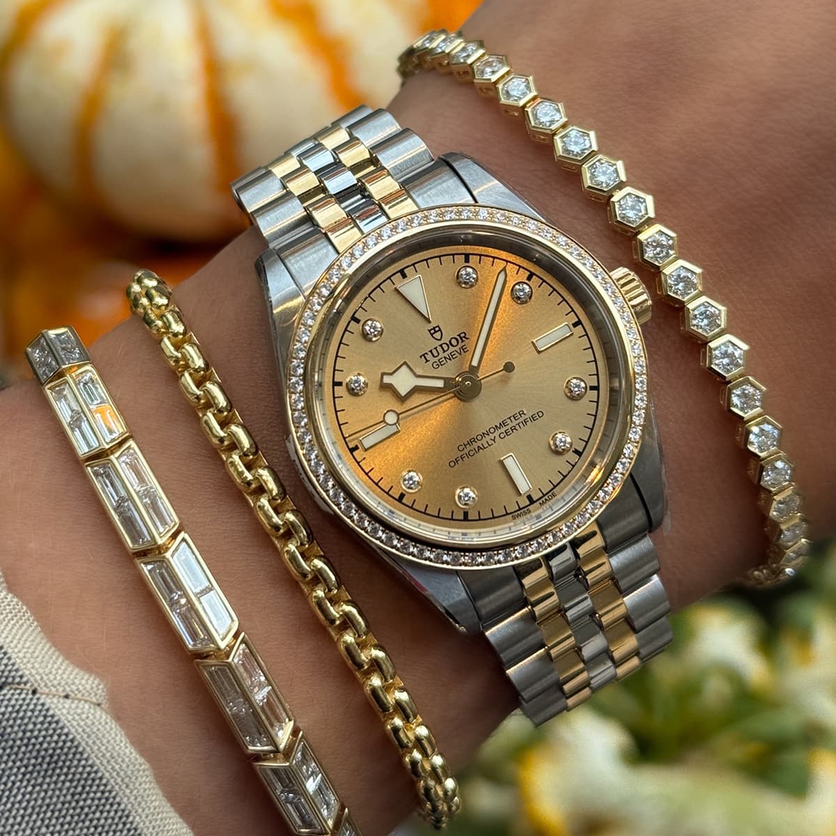 Fall’s Finest — TUDOR x London Jewelers
