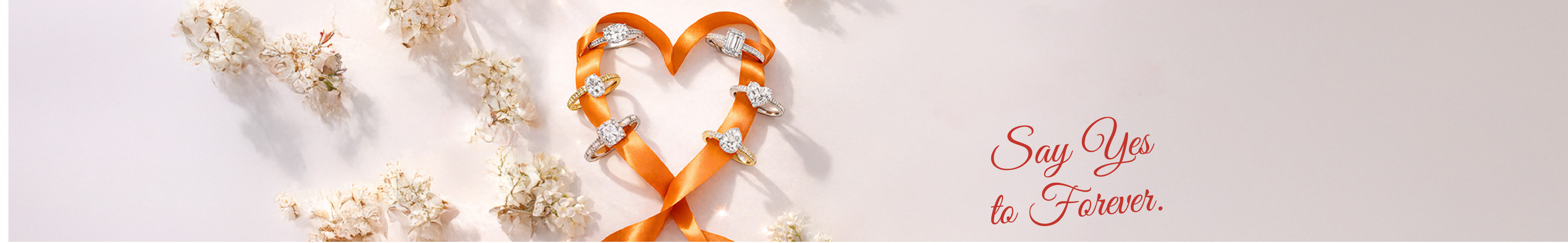 Wedding & Love