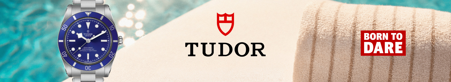 tudor_intro_banner