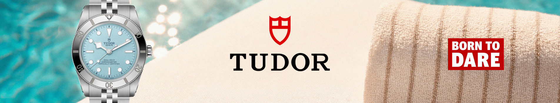 tudor_intro_banner