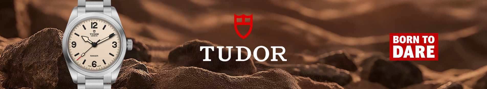 tudor_intro_banner