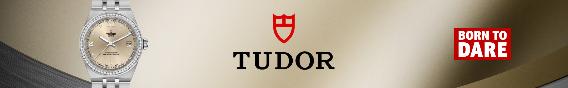 tudor_intro_banner